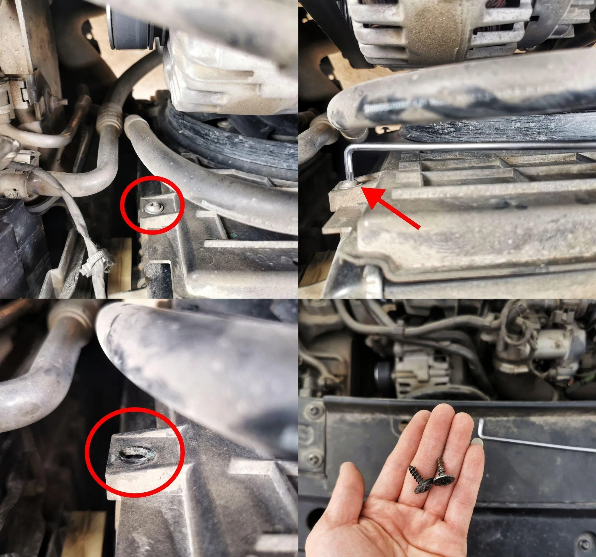 Four mounting screws securing the fan assembly