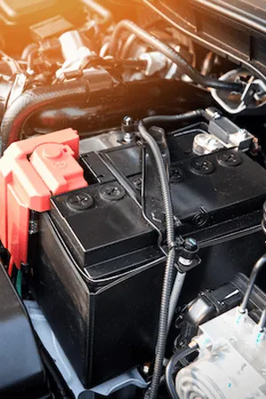 electrical system bg