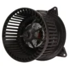 Yoonshan Car Blower Motor for FORD FOCUS (1998-2005) Fan_Cage_View(OE:1111936,1062247,XS4H18456AA/AB/AC/AD,YS4Z19805AB,F03126121,1092286,1111936,1151988,1116783,1116781,1122463,1149311,1221496)