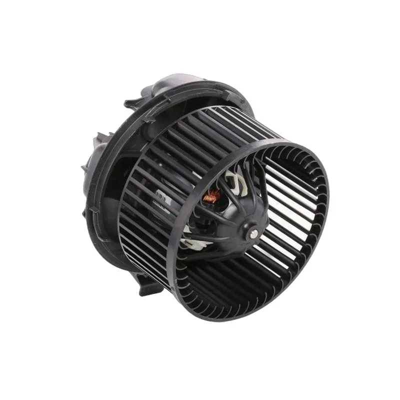 Yoonshan Car Blower Motor for RENAULT MEGANE 2nd Fan_Cage_View(OE:698729,7701056965,7701035892,7701056964)